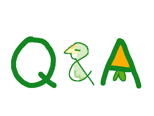 Q&A