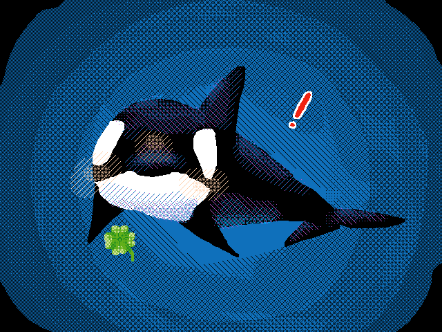 🍀Killer whale🍀