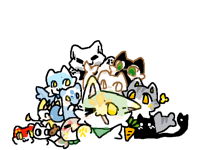 集合