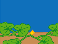 Where it all begins…