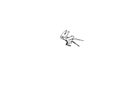 Hornet sprint idk