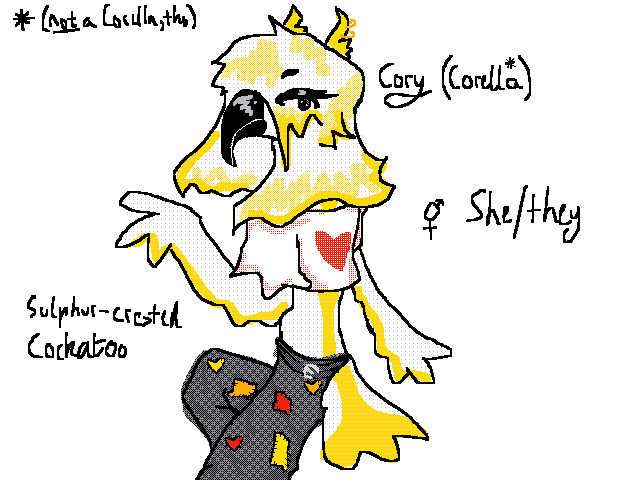 Cory, my new cockie oc