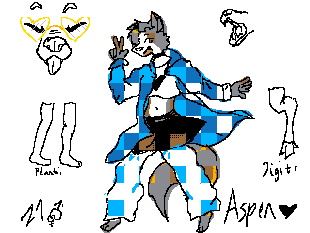 ASPEN REF SHEET