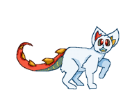 Saltbush but cat