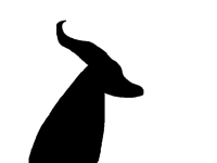 Not what it seems to be