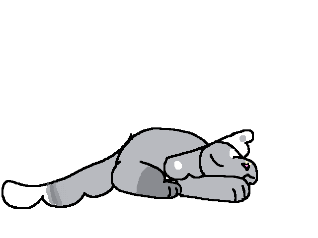 💤