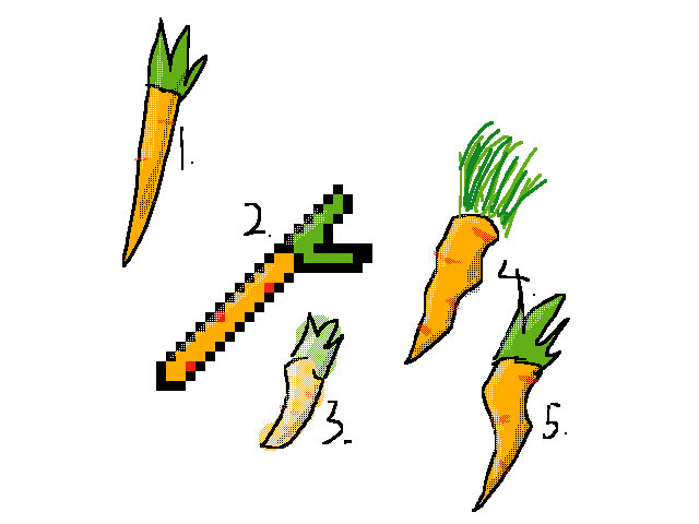Carrots:which one is your favorite??