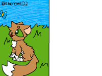 Draw hawkwhisker in your style!!!