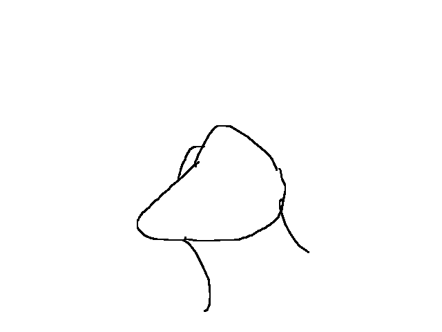 Little practice