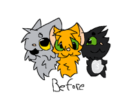 Before after animation