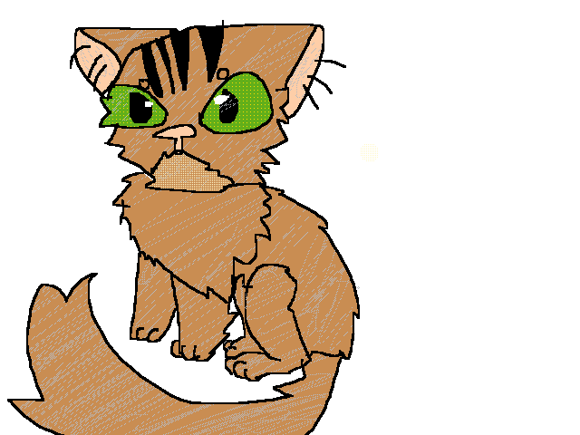 I drawed my cats
