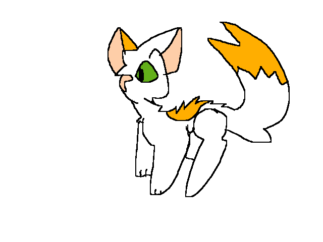 200 followers special is…