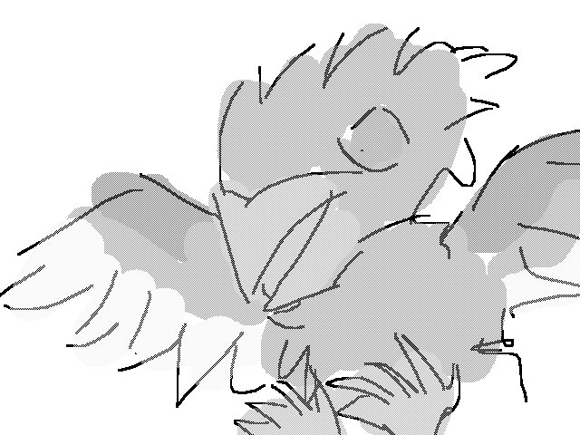 Little bird