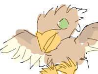 Little bird