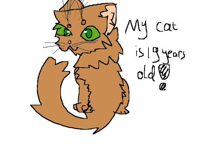 My cat bday was wednesday