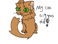 My cat bday was wednesday