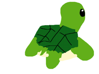 Turtle spinning