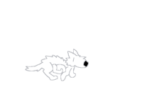Wolf run