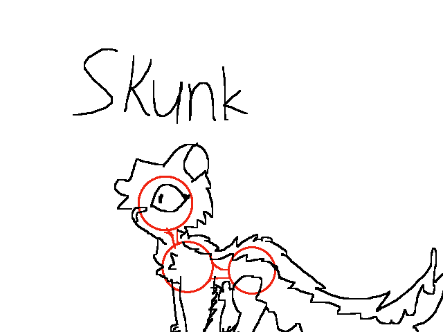 Skunk