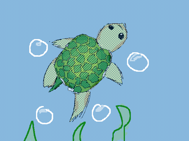 Little turtle