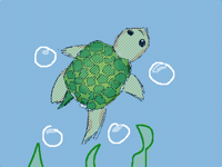 Little turtle