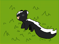 Skunk