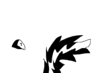 Skunk