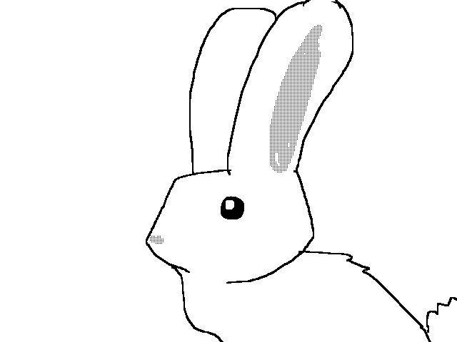 Bunny