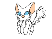 Welcome to Folioscope