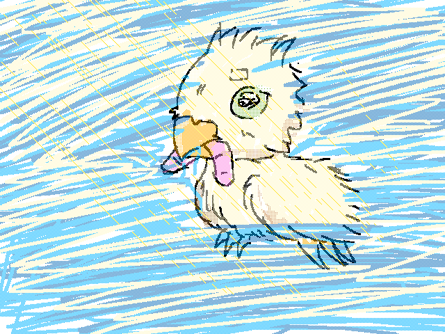 Duck