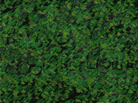 How to make cool backrounds