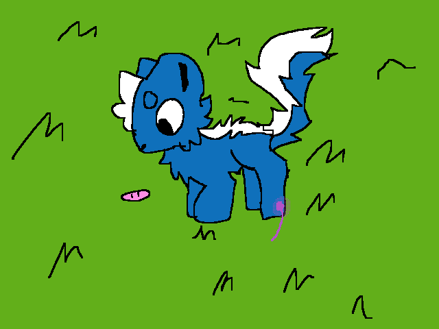 Animation for randomskunk