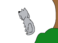 3D test