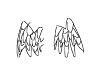 Wing collab