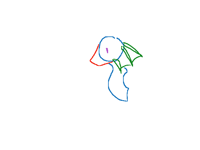 Rainwing