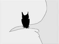Bat animation not ready