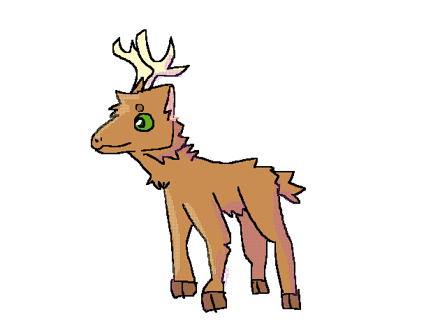 Deer