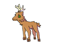 Deer