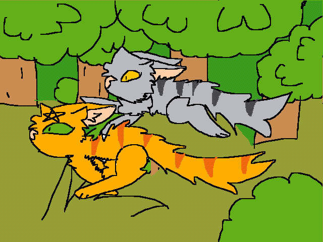 Firestar And graystripe