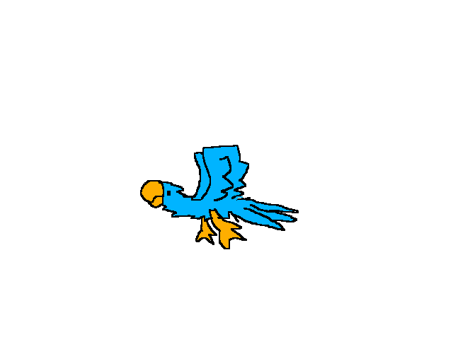 Bird flying