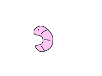 Wormdance