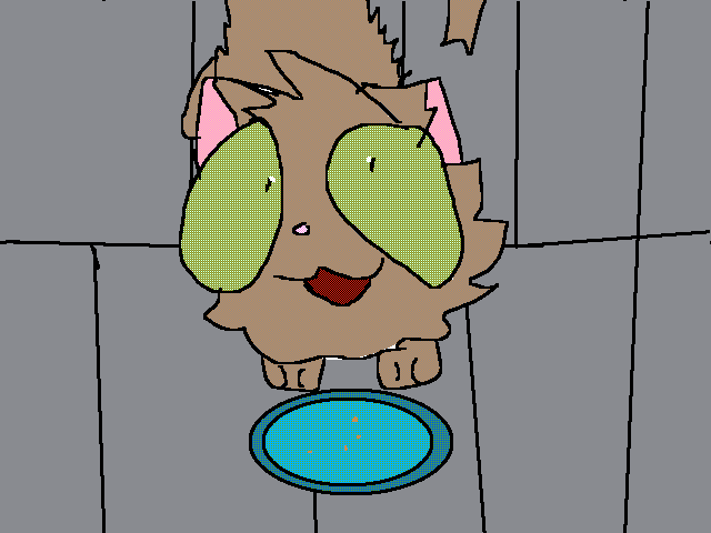 When my cat wants food
