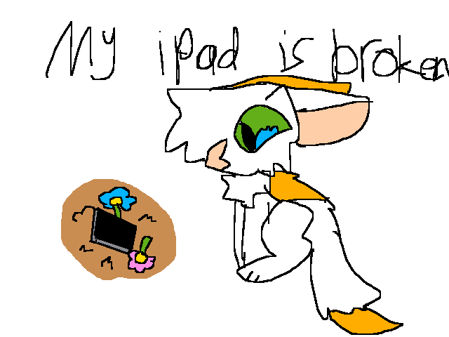My iPad is broken