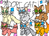 Adopt cat