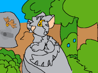 Graystripe