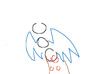 Bird wip