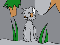 Random seekers animation