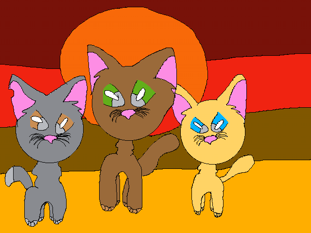 Warrior Cats🐾🐈 photos