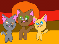 Warrior Cats🐾🐈 photos