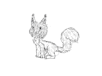 Squirrel for contest